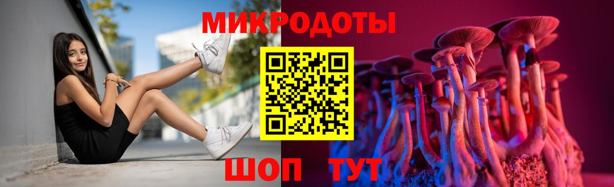 Псилоцибиновые грибы Cubensis  Вход с VPN  Сунжа 