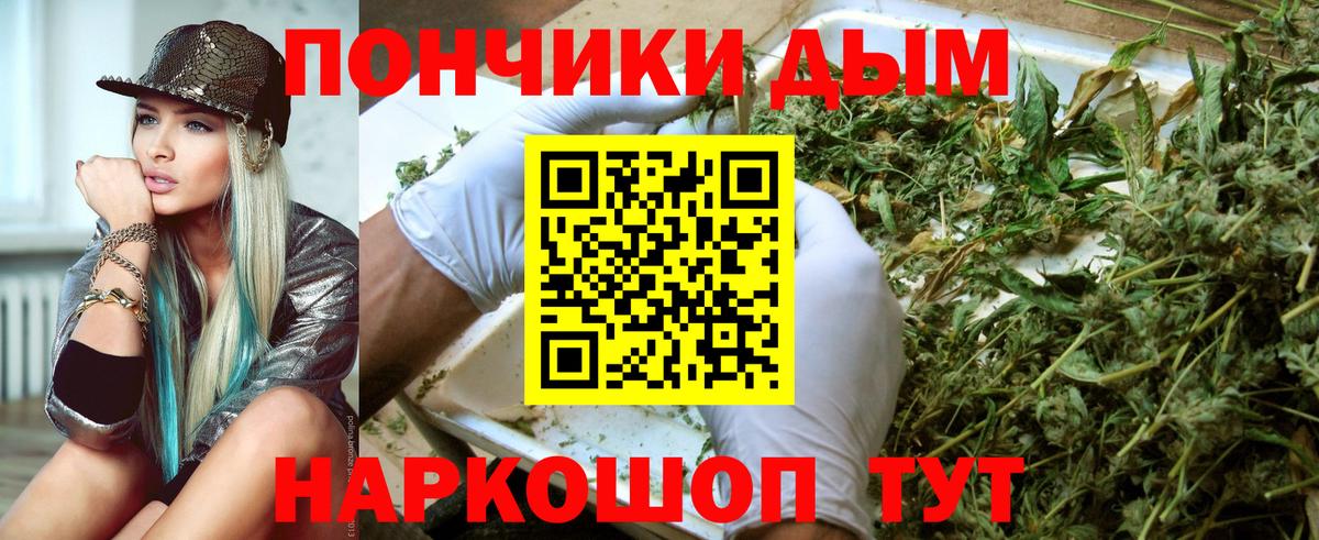 Каннабис ГИДРОПОН Сунжа